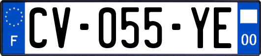 CV-055-YE