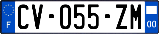 CV-055-ZM