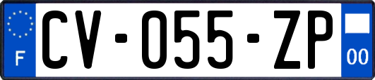 CV-055-ZP