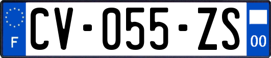 CV-055-ZS