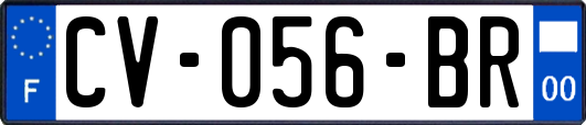 CV-056-BR