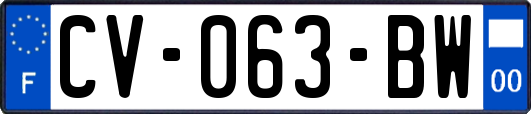 CV-063-BW