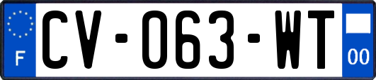 CV-063-WT