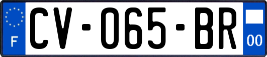 CV-065-BR
