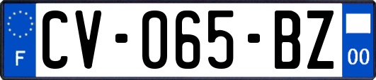 CV-065-BZ