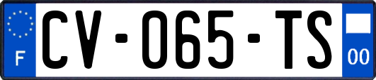 CV-065-TS