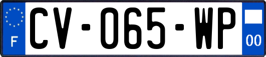 CV-065-WP