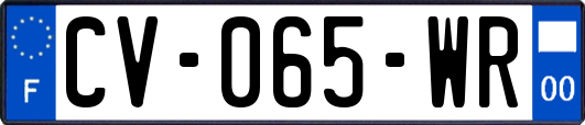 CV-065-WR