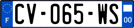 CV-065-WS