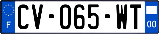CV-065-WT
