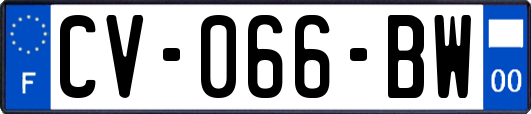 CV-066-BW