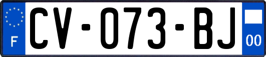 CV-073-BJ