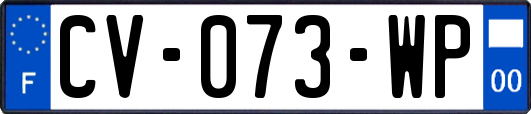 CV-073-WP