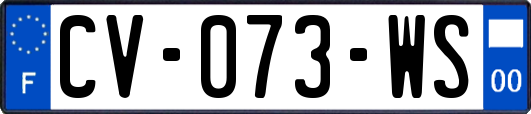 CV-073-WS