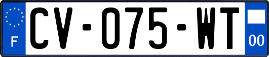 CV-075-WT