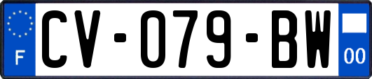 CV-079-BW