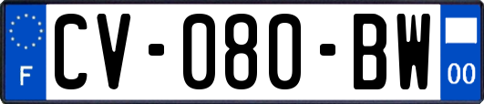 CV-080-BW