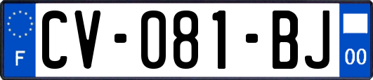 CV-081-BJ