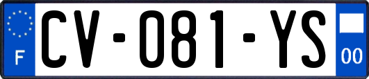 CV-081-YS
