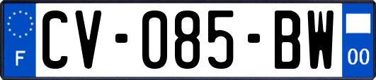 CV-085-BW