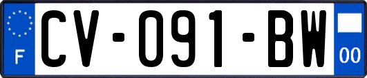 CV-091-BW