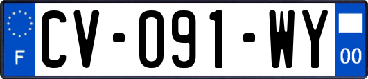 CV-091-WY