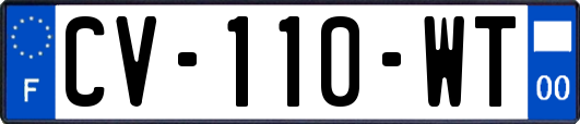 CV-110-WT