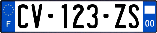 CV-123-ZS