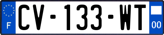 CV-133-WT