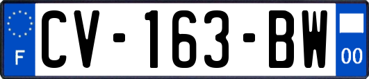 CV-163-BW