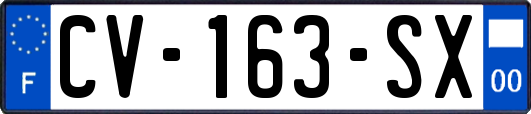 CV-163-SX