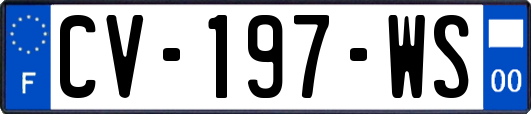 CV-197-WS