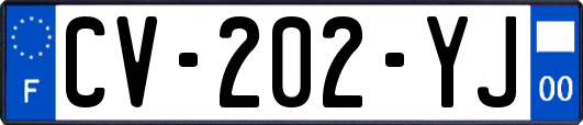 CV-202-YJ