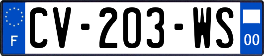 CV-203-WS