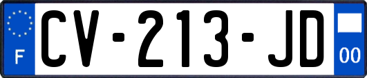 CV-213-JD