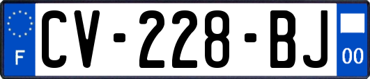 CV-228-BJ