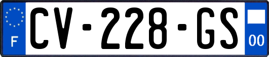 CV-228-GS