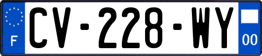CV-228-WY