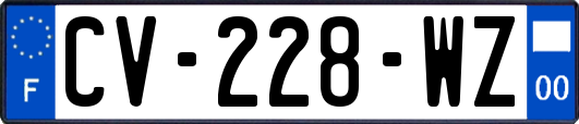 CV-228-WZ