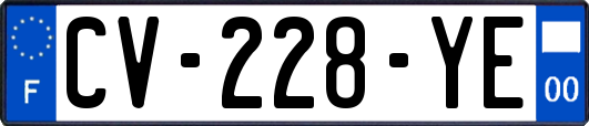 CV-228-YE