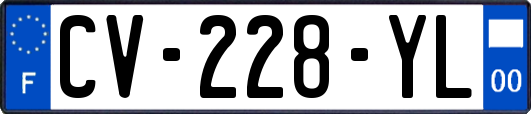 CV-228-YL