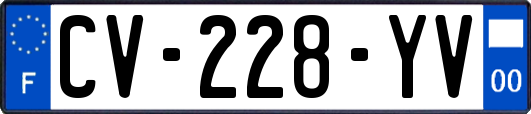 CV-228-YV