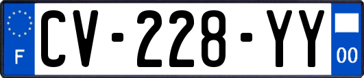 CV-228-YY