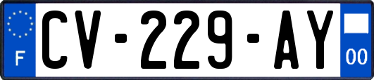 CV-229-AY
