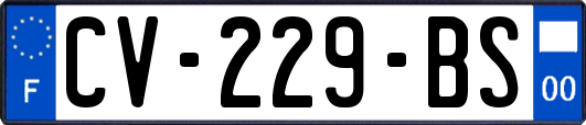 CV-229-BS