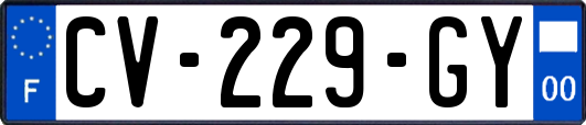 CV-229-GY