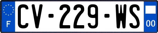 CV-229-WS