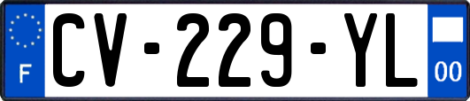 CV-229-YL