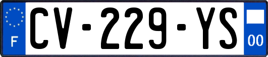 CV-229-YS