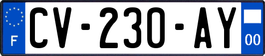 CV-230-AY